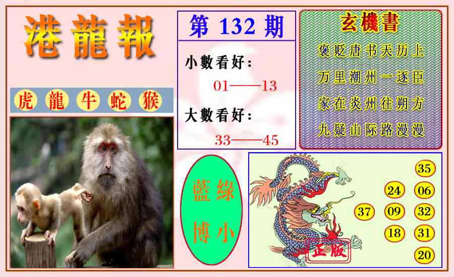 132期港龙报[图]